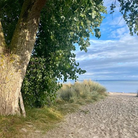Feriendorf Suedstrand Haus 40 Пельцерхакен Экстерьер фото