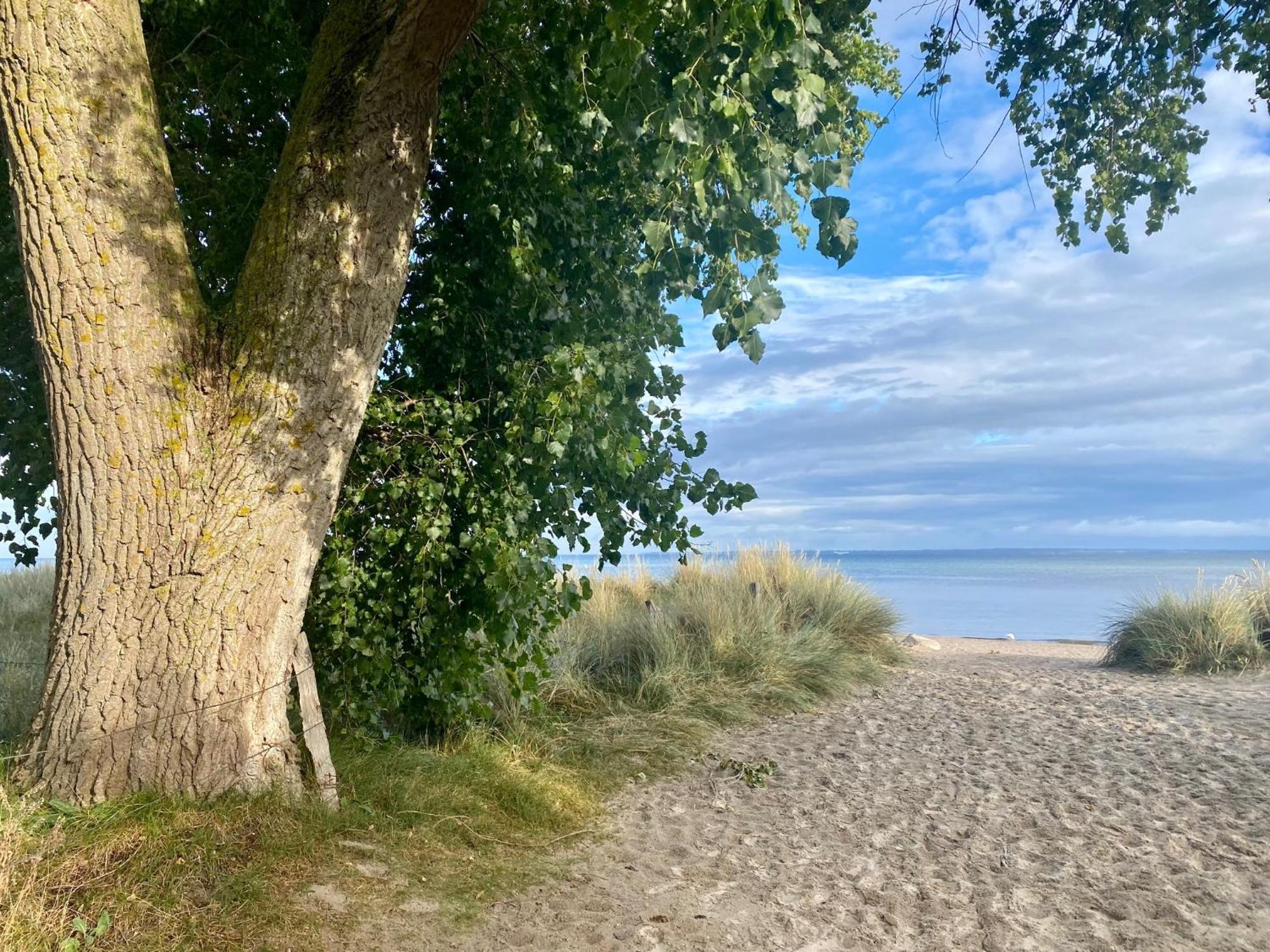 Feriendorf Suedstrand Haus 40 Пельцерхакен Экстерьер фото